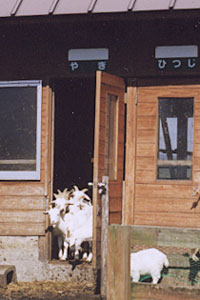 ��������܂񂶂イ����