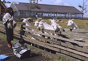 �₶���܁E�₶�€